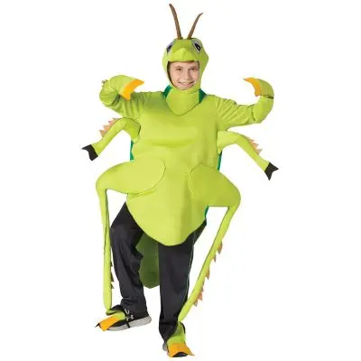 Grasshopper Costume – Fun Insect Fancy Dress for Kids & Adults