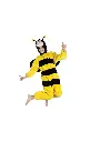 Bumble Bee Costume for Kids & Adults – Cute Insect Fancy Dress Outfit