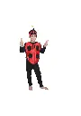 Ladybug Costume Rental – Cute Insect Fancy Dress Outfit
