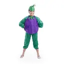 Brinjal Costume – Creative Vegetable Dress-Up for Kids & Adults
