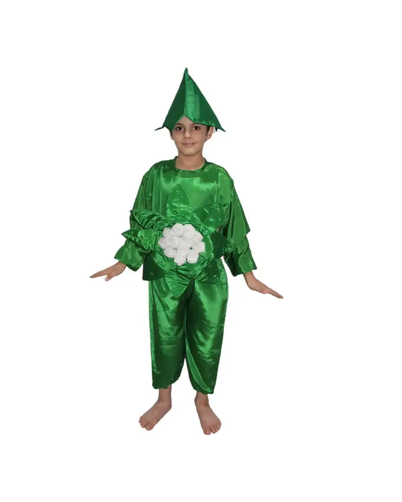 Cauliflower Costume – Creative Vegetable Dress-Up for Kids & Adults