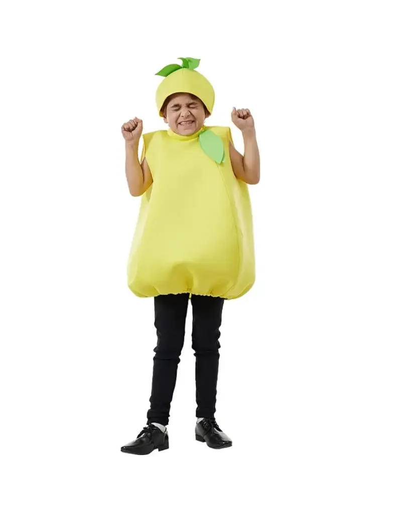 Lemon Costume – Vibrant Fruit Dress-Up for Kids & Adults