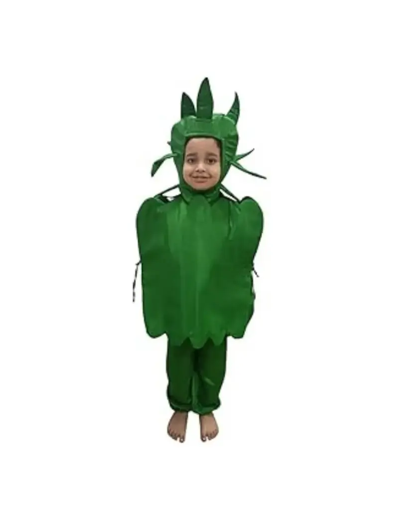 Capsicum Costume – Vibrant Vegetable Dress-Up for Kids & Adults