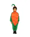 Carrot Costume Rental  – Fun & Creative Vegetable Dress-Up