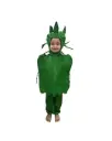 Capsicum