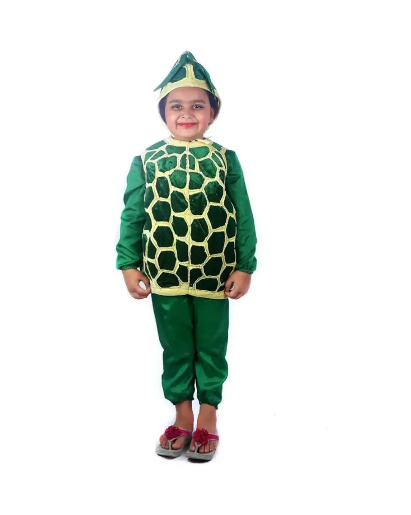 Custard Apple Costume – Fruit Theme Dress-Up for Kids & Adults