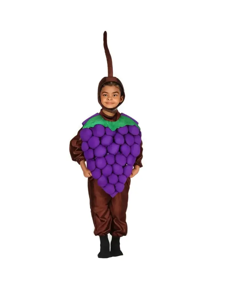 Purple Grapes Costume Rental – Fun Fruit Fancy Dress for School & Parties