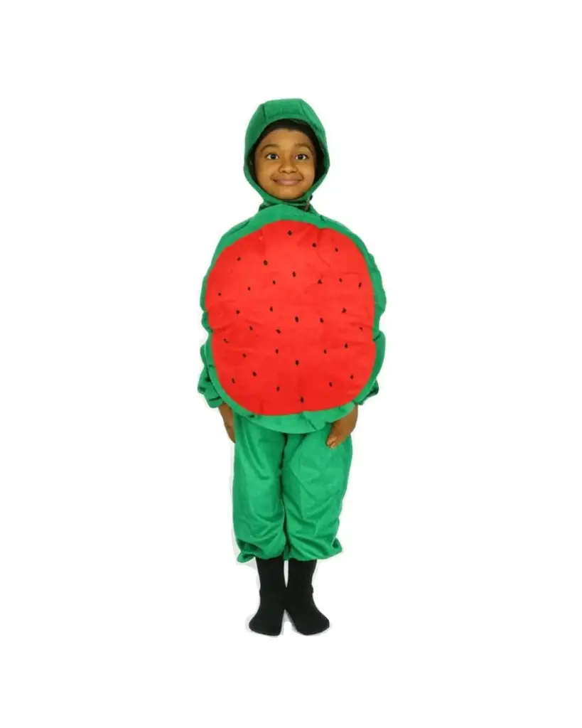 Watermelon Costume Rental – Fun Fruit Fancy Dress Outfit