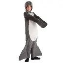 Ash Seal Costume