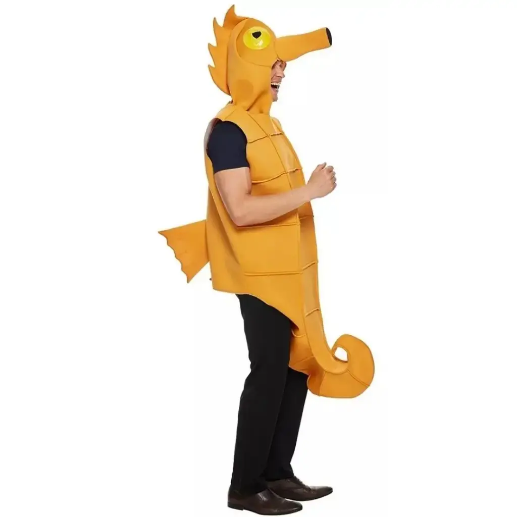 Seahorse Costume Rental for Kids & adults – Elegant & Enchanting Dress-Up