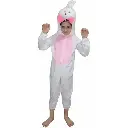 Snow Rabbit Costume Rental for Kids & adults– Fluffy Bunny & Winter Fancy Dress