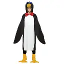 Penguin Costume Rental for Kids & adults– Adorable Animal Fancy Dress