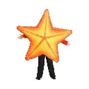 Multi color Star Fish Costume