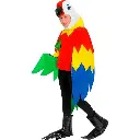 Multicolored Parrot Costume Rental for Kids & adults – Vibrant Bird Fancy Dress