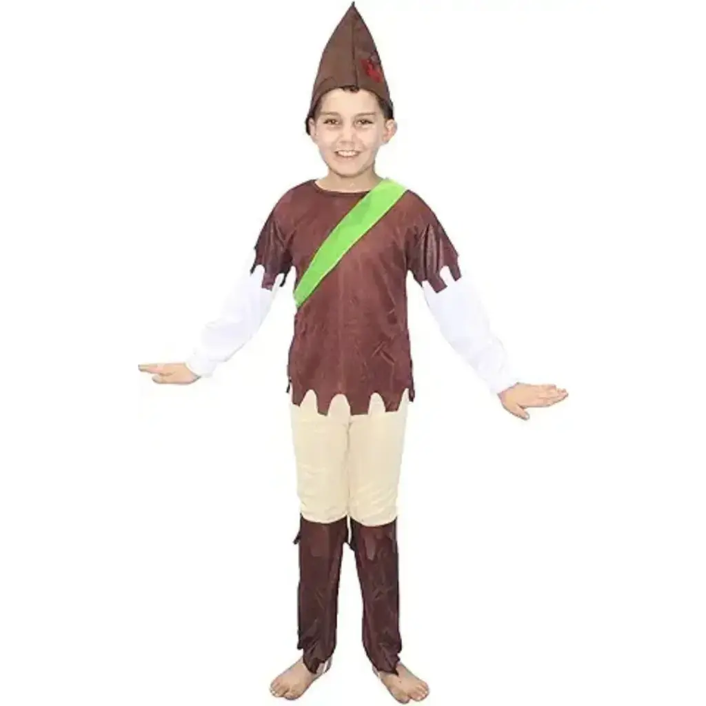 Robin Costume