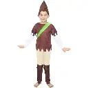 Robin Costume