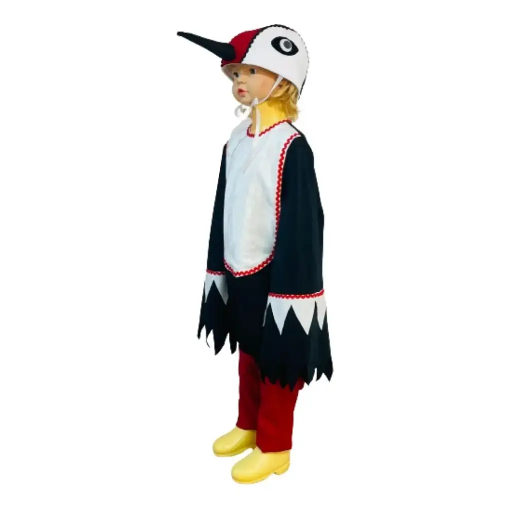 Multicolor Woodpecker Costume Rental for Kids & adults – Lively Bird Fancy Dress