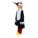 Multicolor Woodpecker Costume Rental for Kids & adults – Lively Bird Fancy Dress
