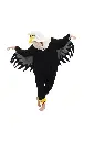 Seagull Bird Costume Rental for Kids & adults– Elegant & Airy Fancy Dress