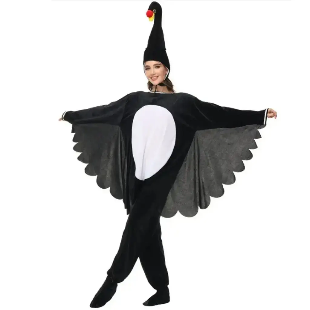 Black Swan Costume Rental for Kids & adults– Elegant & Dramatic Fancy Dress