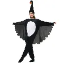 Black Swan Costume Rental for Kids & adults– Elegant & Dramatic Fancy Dress