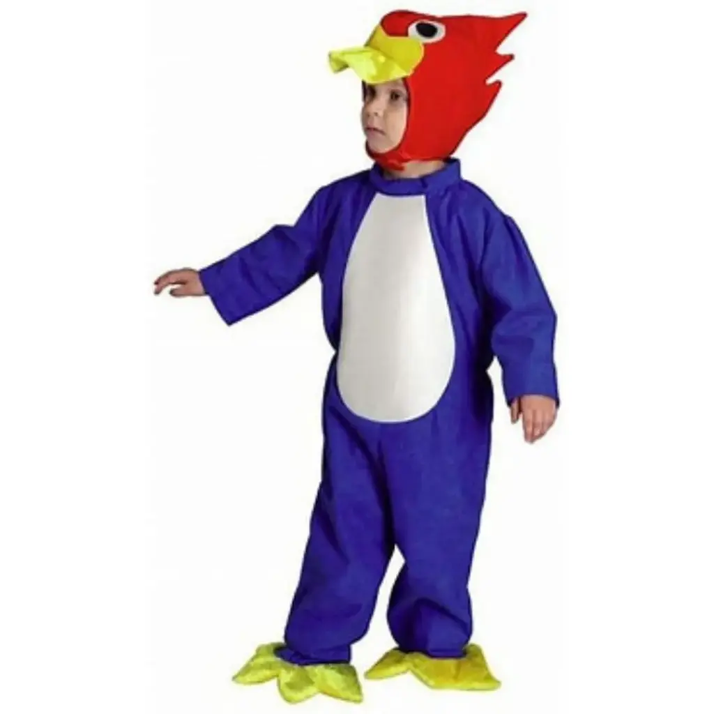 Kingfisher Costume Rental for Kids & adults – Vibrant Fancy Dress