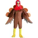Multicolor Cock Costume for Kids & adults – Colorful Birds Fancy Dress