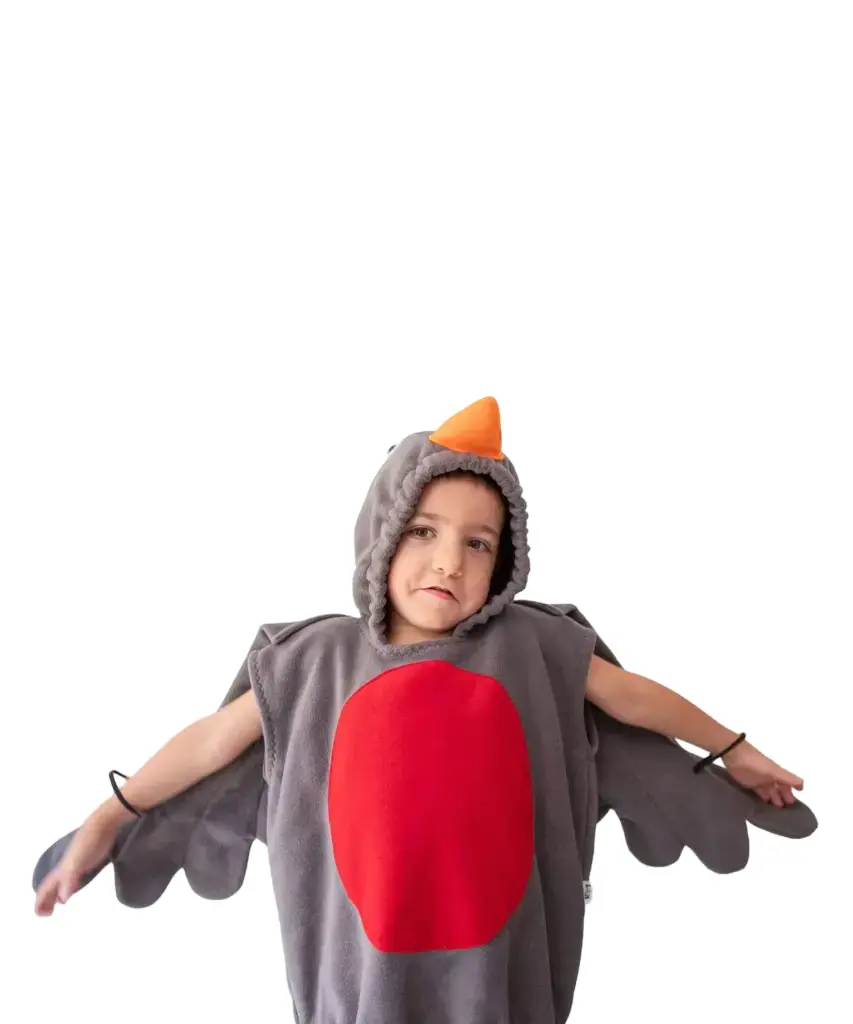 Robin Bird Costume for Kids & adults– Bright Bird Fancy Dress