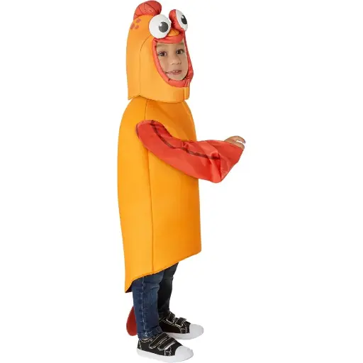 Golden Fish Costume