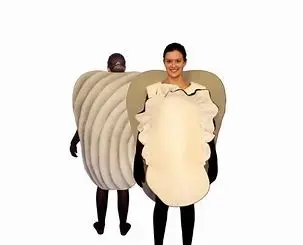 Oyster Costume