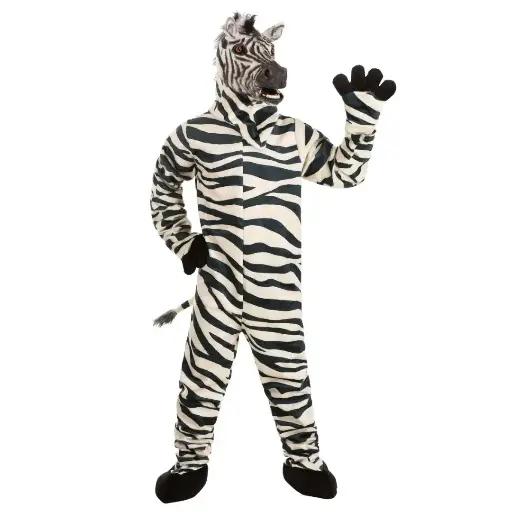 Zebra Costume