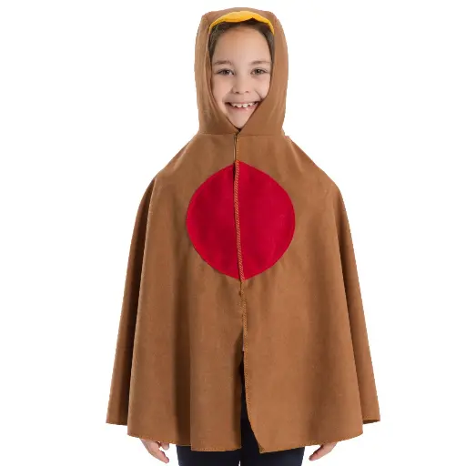 Robin Bird Costume Rental for Kids & adults– Charming Fancy Dress