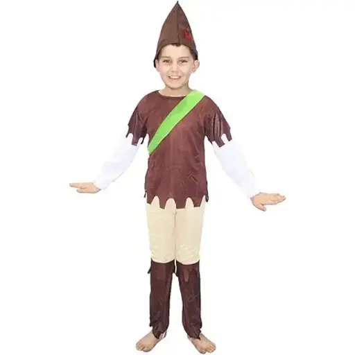 Robin Costume