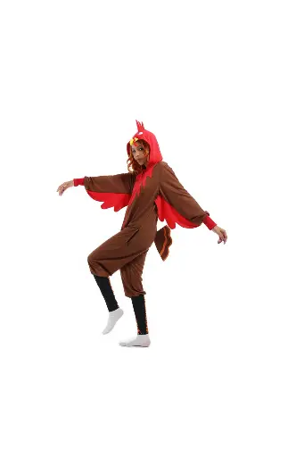 Turkey Bird