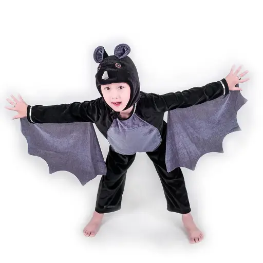 Black Bat Costume Rental for Kids & adults– Spooky & Sleek Fancy Dress