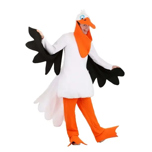 Pelican Bird Costume Rental for Kids & adults – Fun Avian Fancy Dress