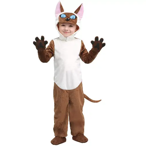 Golden Brown Siamese Cat