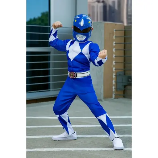Blue Ranger Costume 