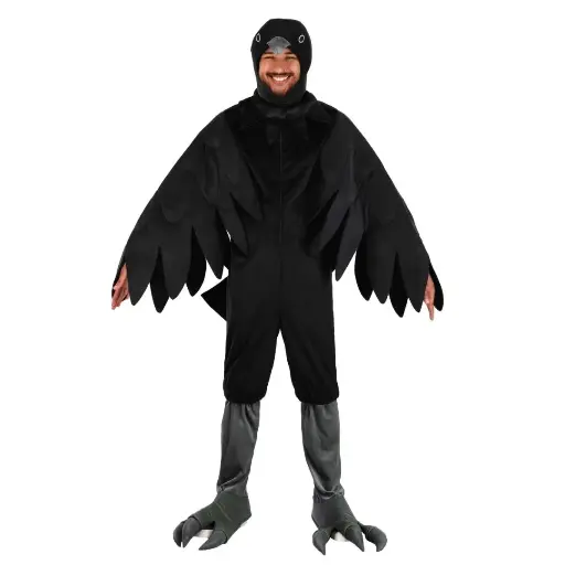 Black Crow 