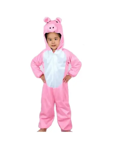 Pig Costume