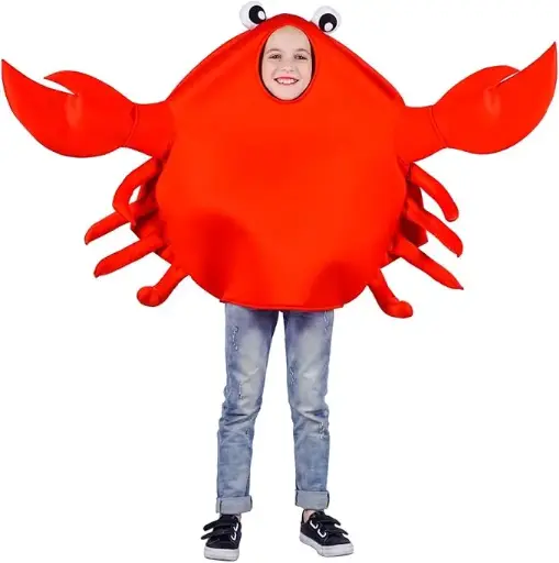 Crab Costume