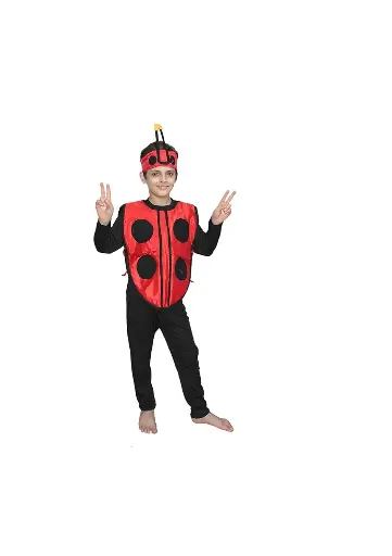 Lady Bug