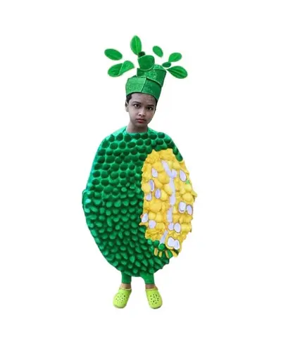 Apple Costume  Colorful Fruit Dress-Up | CostumeWala