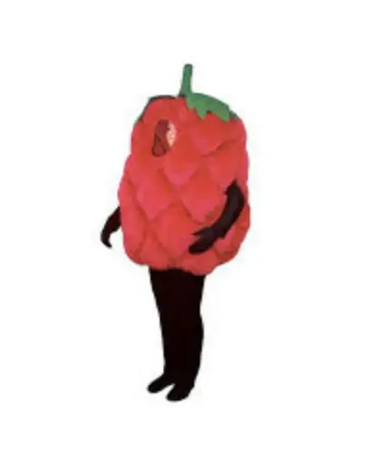 Raspberry Costume – Creative & Fun Dress-Up for Kids & Adults