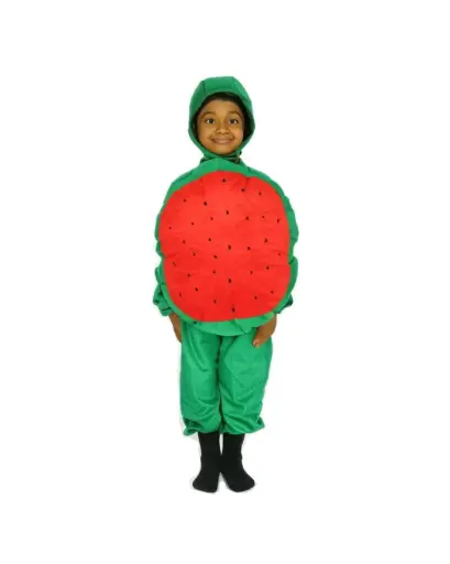 Watermelon Costume Rental – Fun Fruit Fancy Dress Outfit