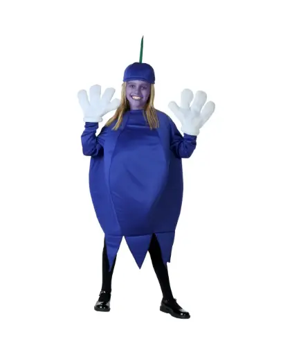 Blueberry Costume Rental – Fun Fruit Fancy Dress Outfit