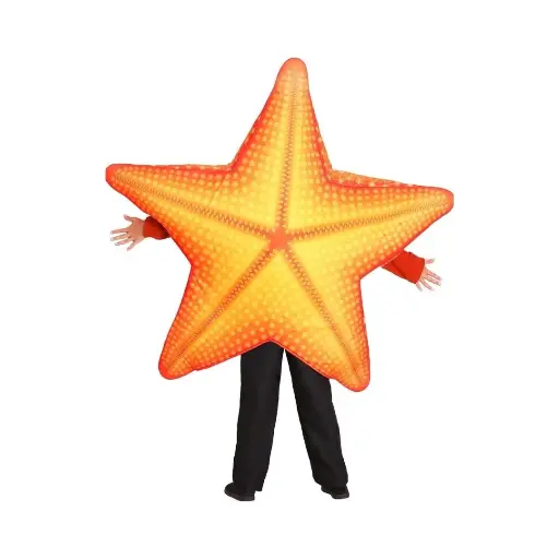 Multi color Star Fish Costume