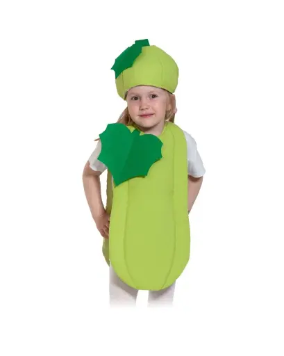 Cho-Cho Fruit Costume – Fun Fruit Themed Fancy Dress for Kids & Adults
